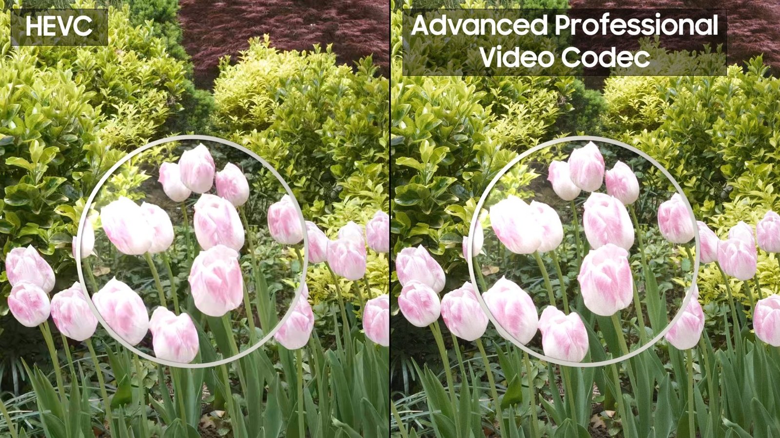 Galaxy S26: APV-Codec als Antwort auf Apple ProRes